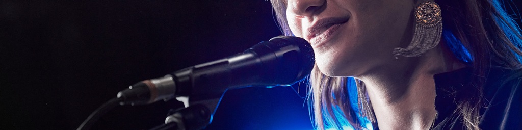 Dynamisches Vocalmikrofon Shure Nexadyne 8C und 8S